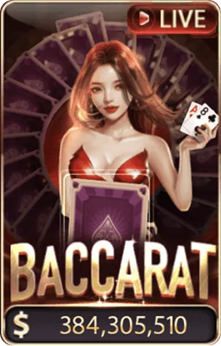 sunwin 24 BACCARAT